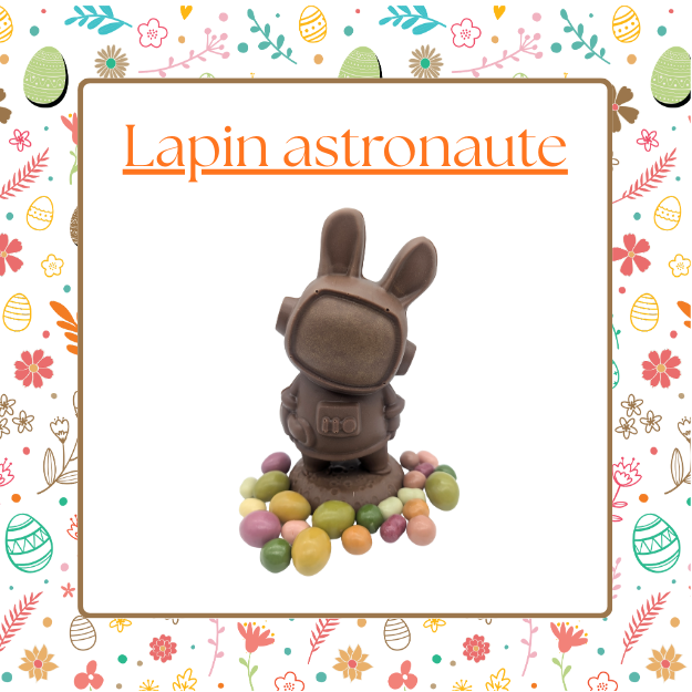 Lapin Astronaute